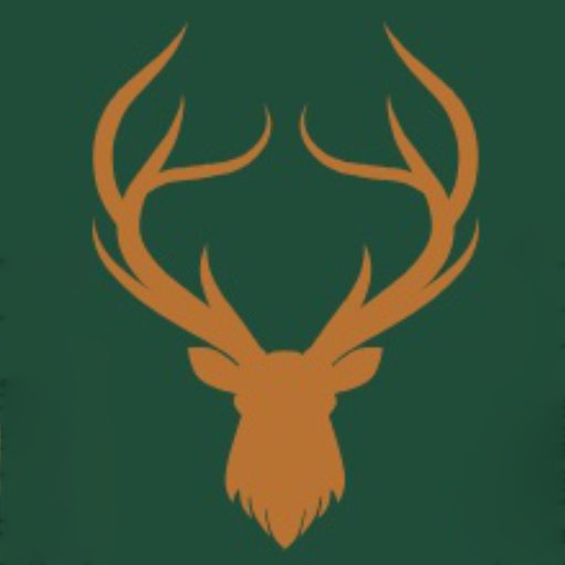 IronStagLtd.com